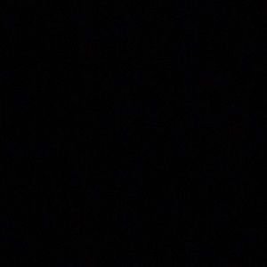 Meet your Posher, Sydnee